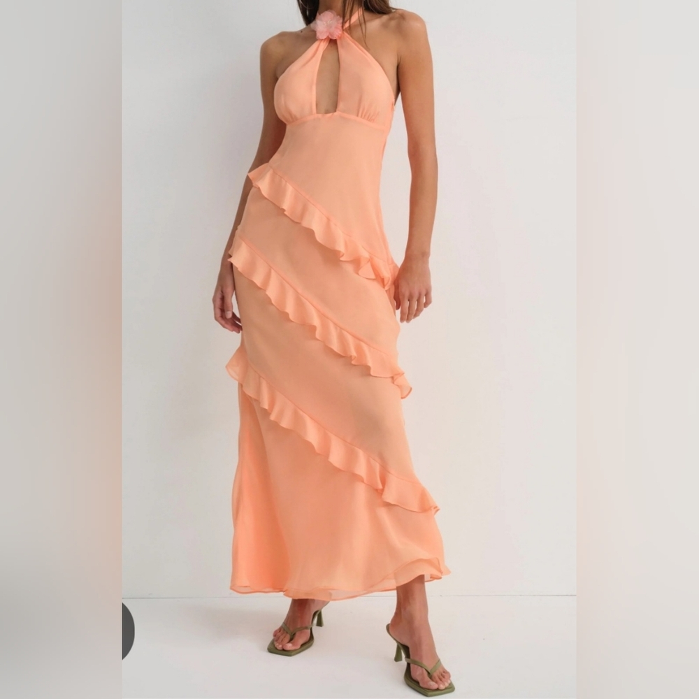 For Love And Lemons Maxi Chiffon Dress